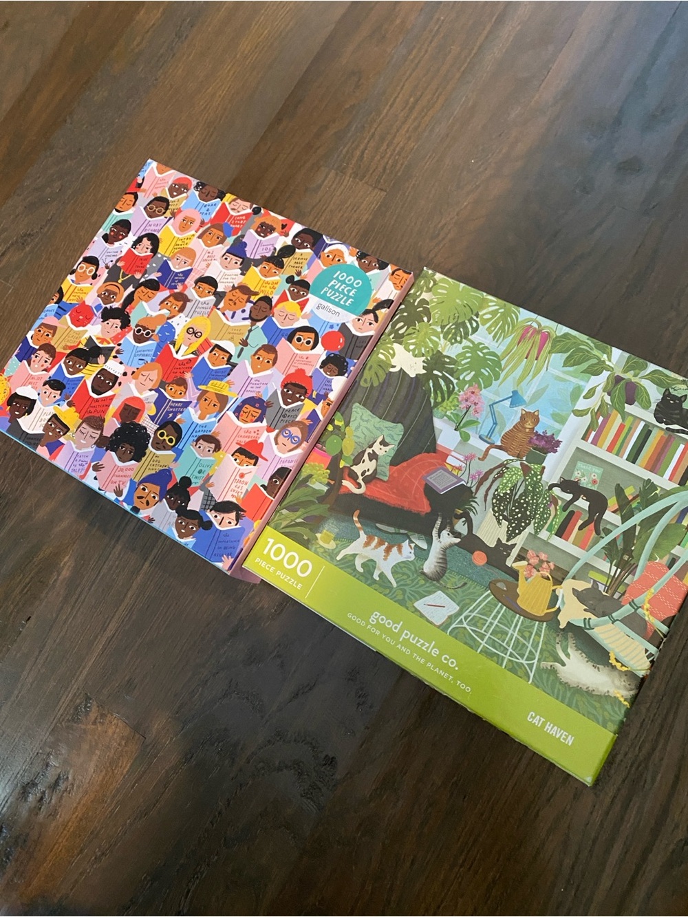 Bundle of 2 - 1000 Piece Jigsaw Puzzles Galison book club & Cat Haven